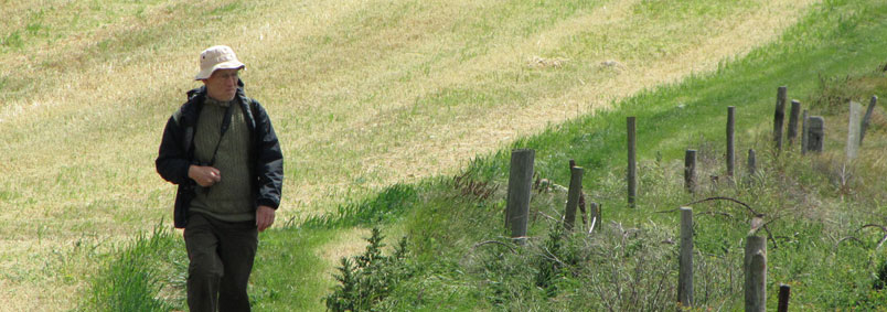 5_6eco-oostvaardersplassen0
