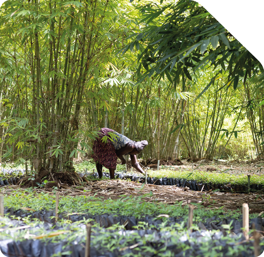 Printvisie_GROEN-3